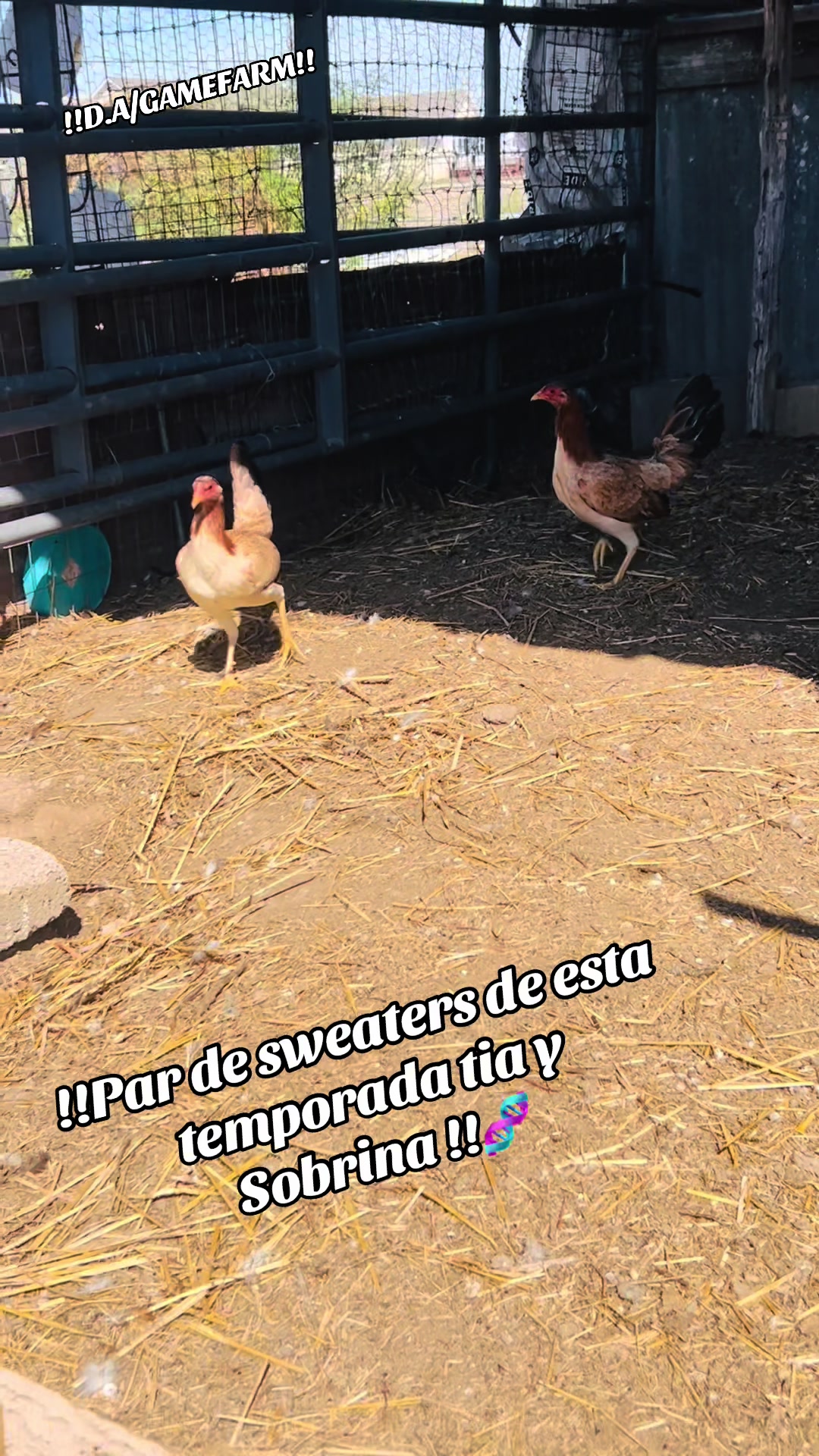 @DAgamefarm