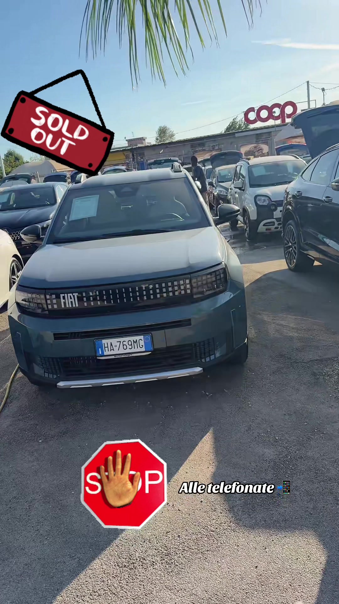 @AUTOIMMAGINE