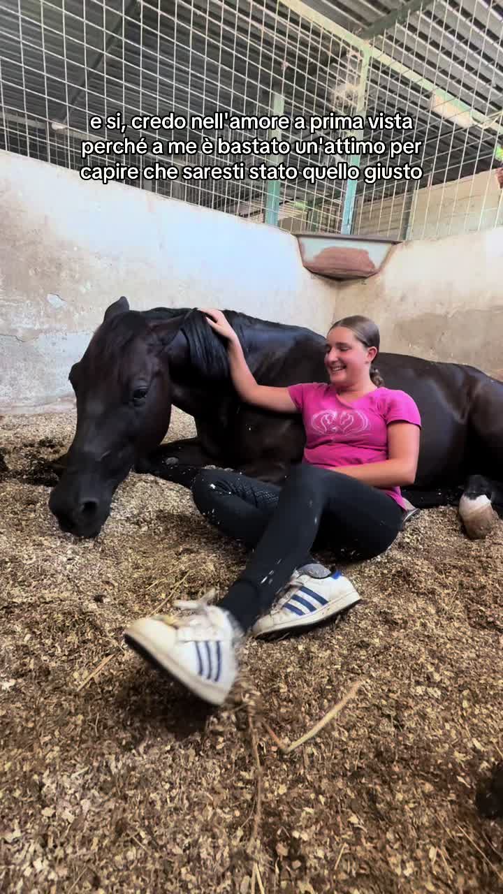 @isa_pullo🩶🐴
