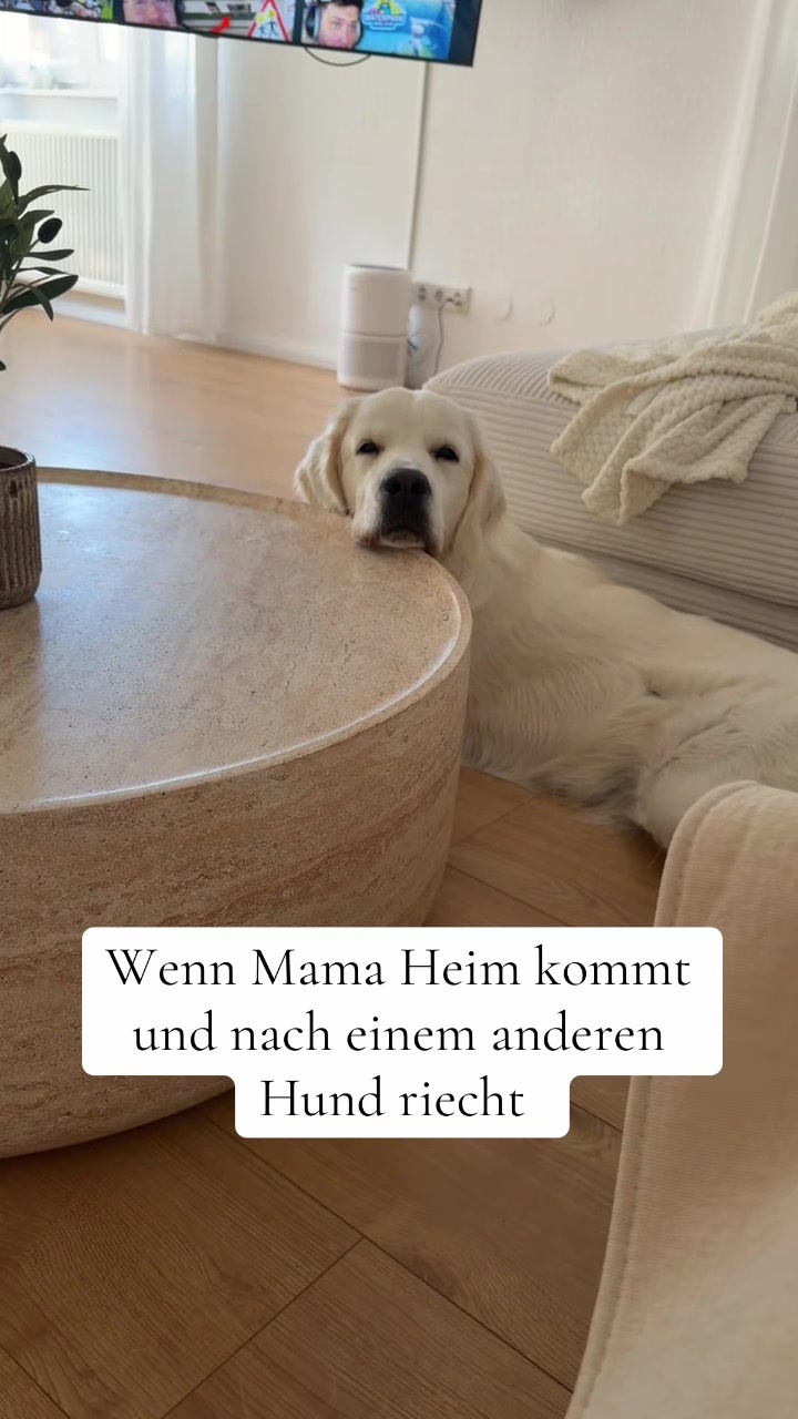 @Miss Ellie The Golden 🤍