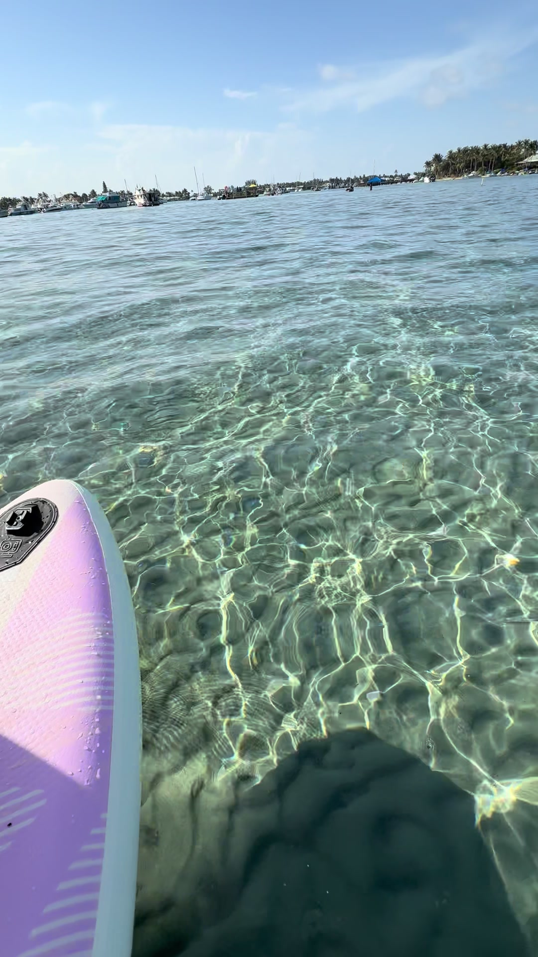 @Yukiima77 🍓