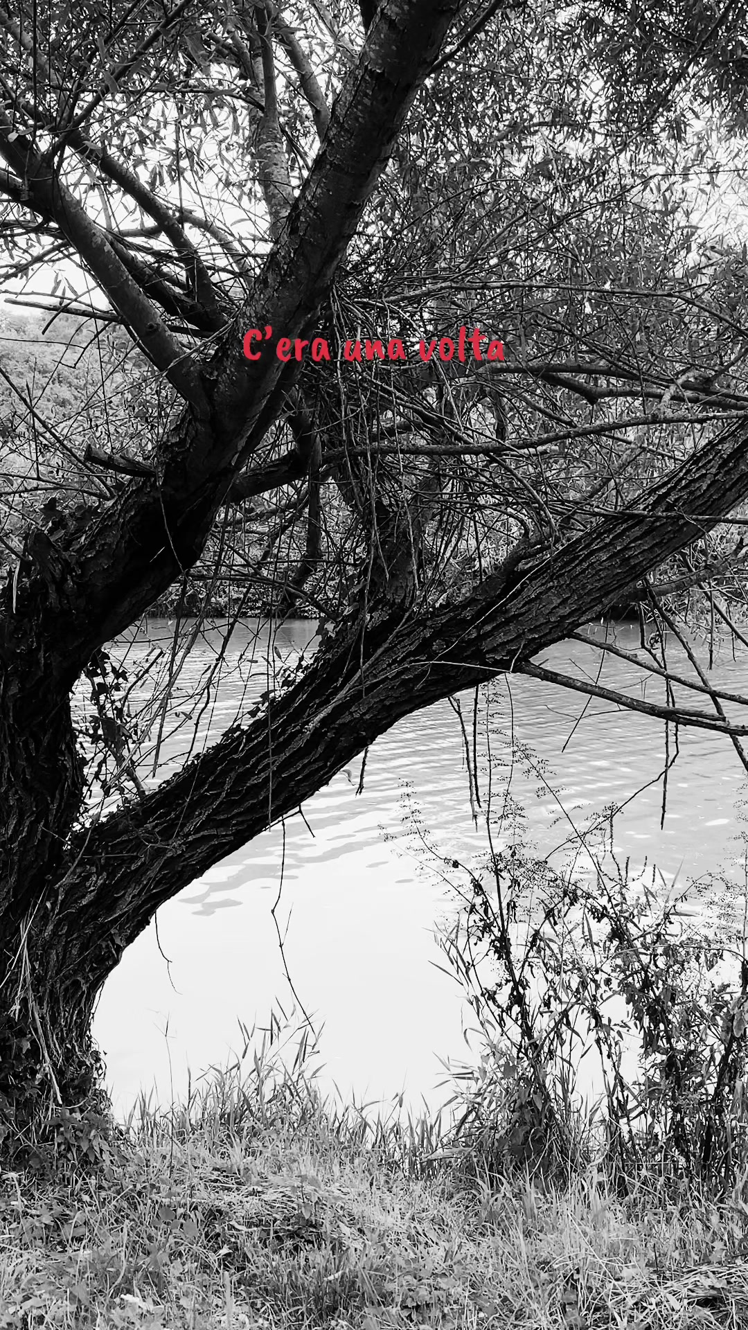 @C’era una volta