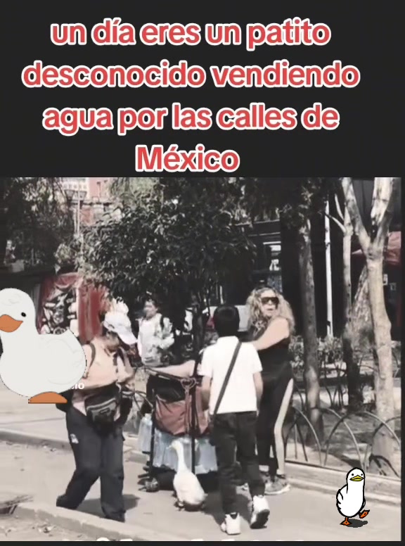 @Reporte-ando