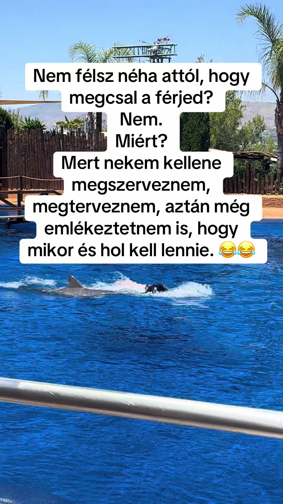 @Zsanzy Taki