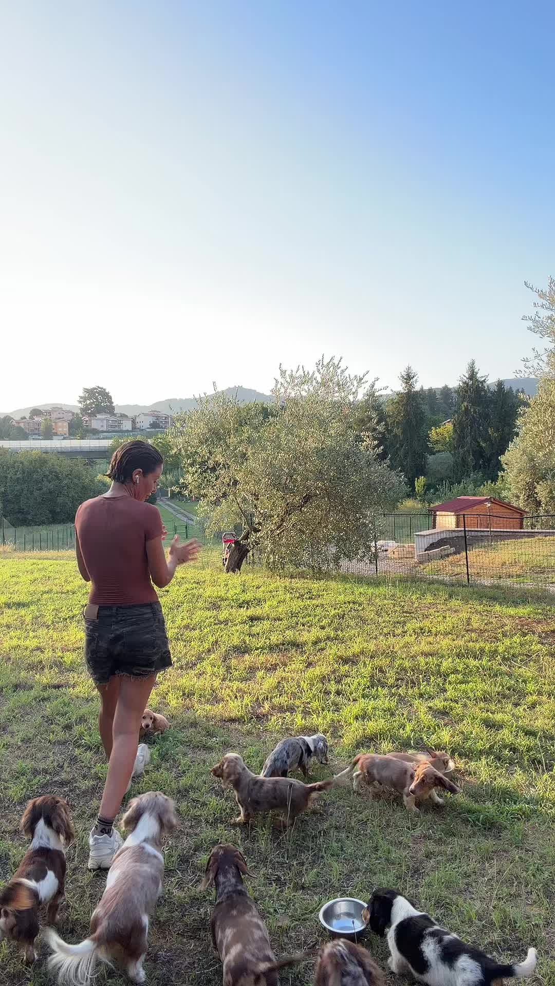 @Alessia_patacconi
