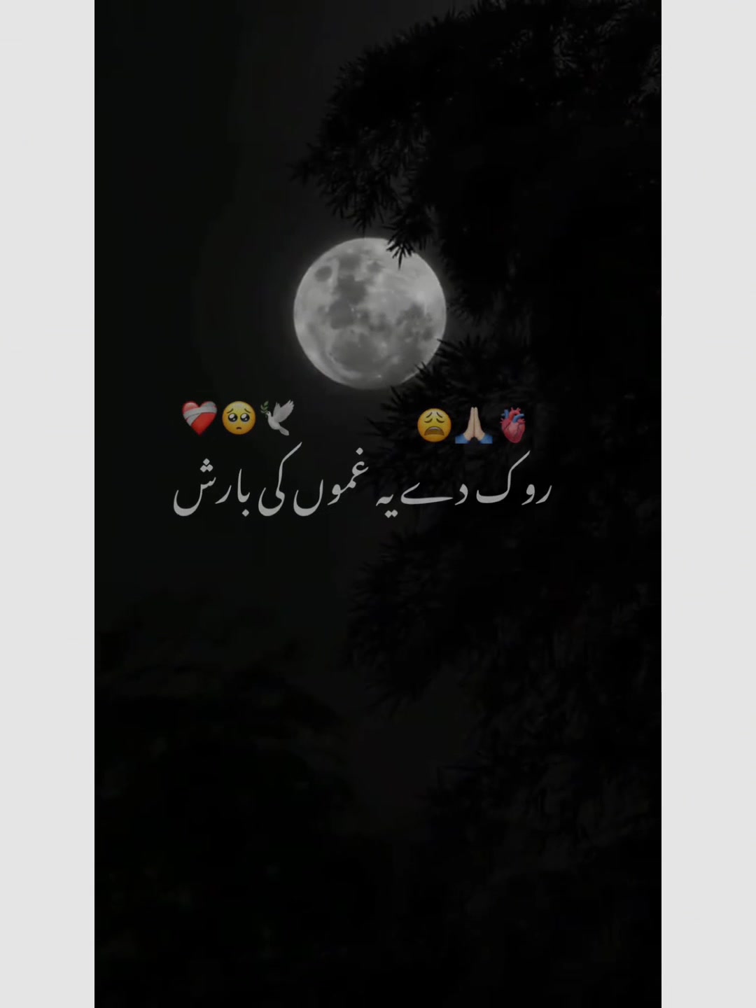 @Islamic