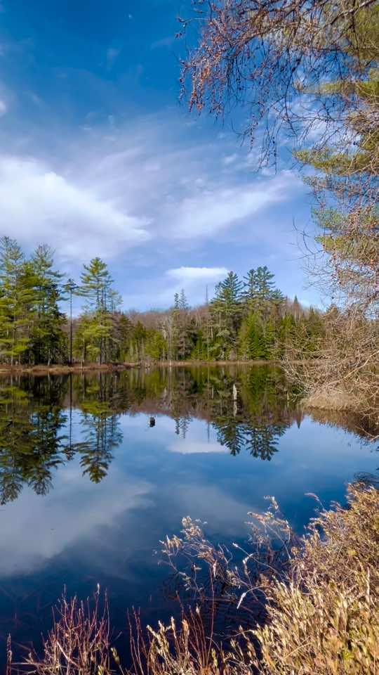 @Wild Adirondacks