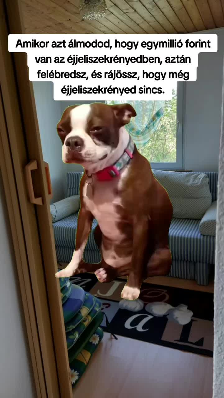 @Oszi nem Veszi