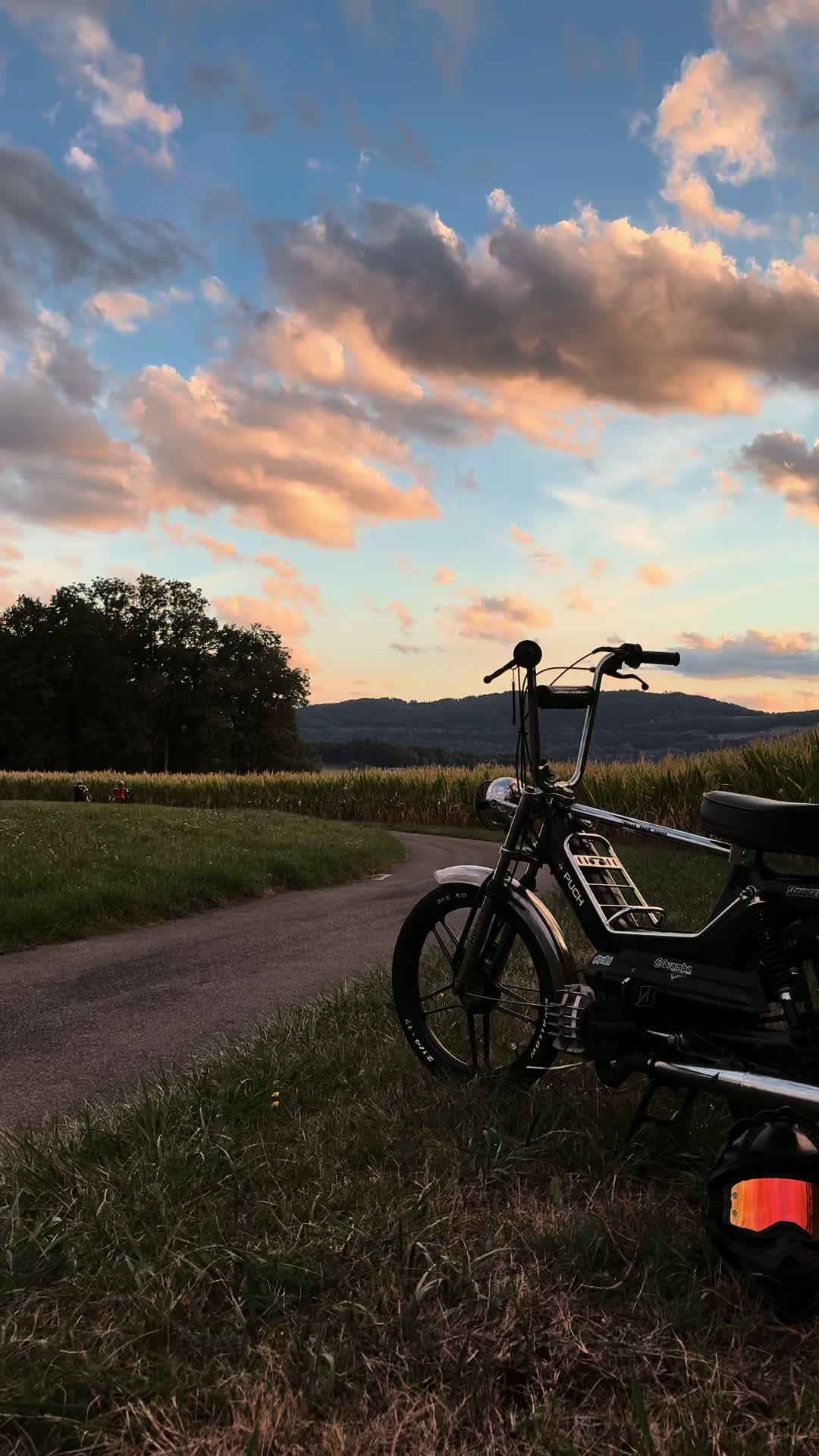 @Black_Puch_swiss