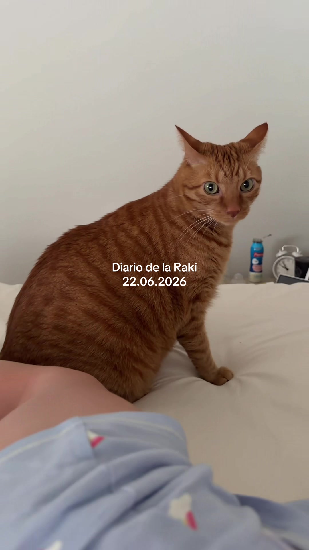 @Bonbonreich