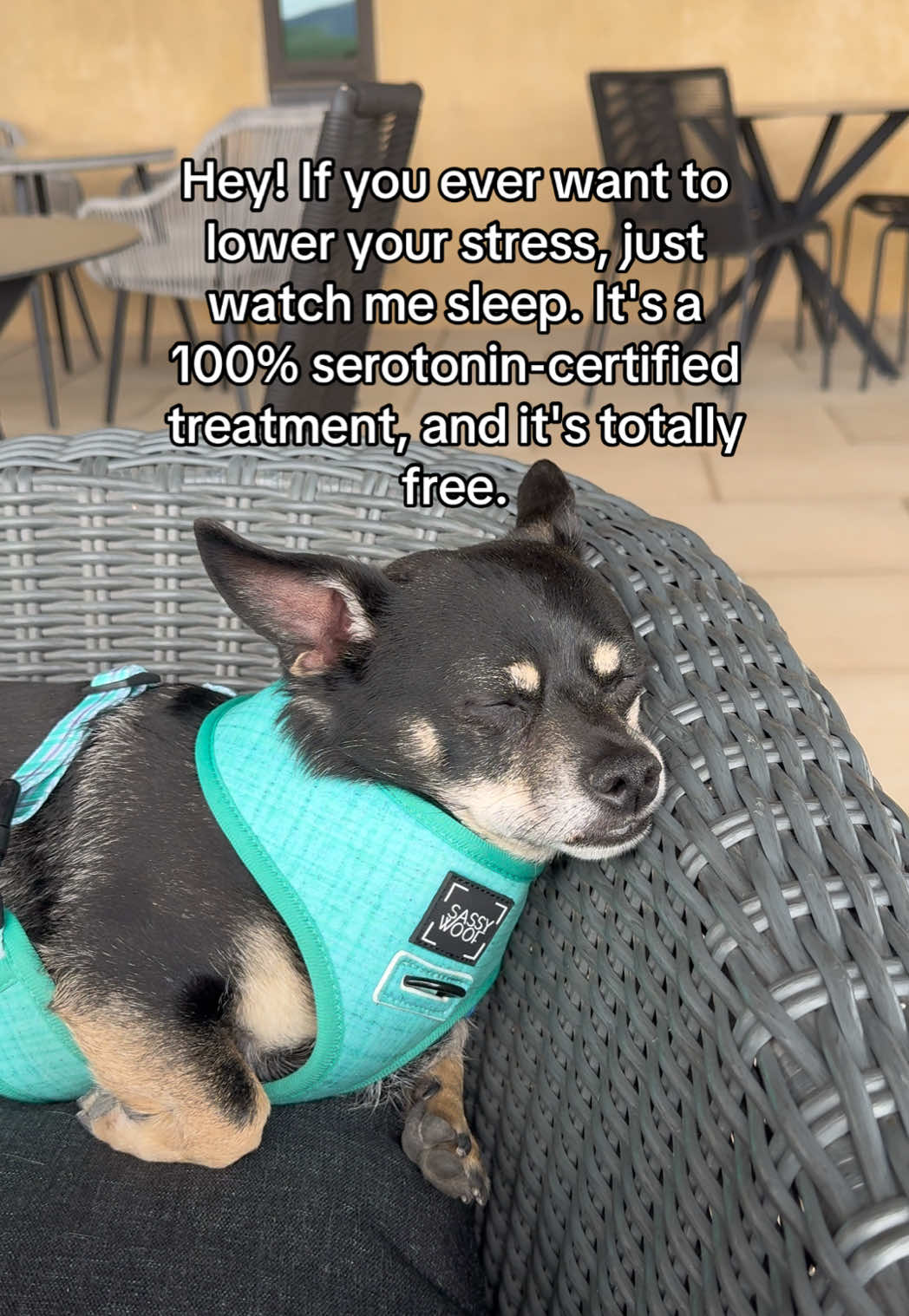@Hanway&Dallas