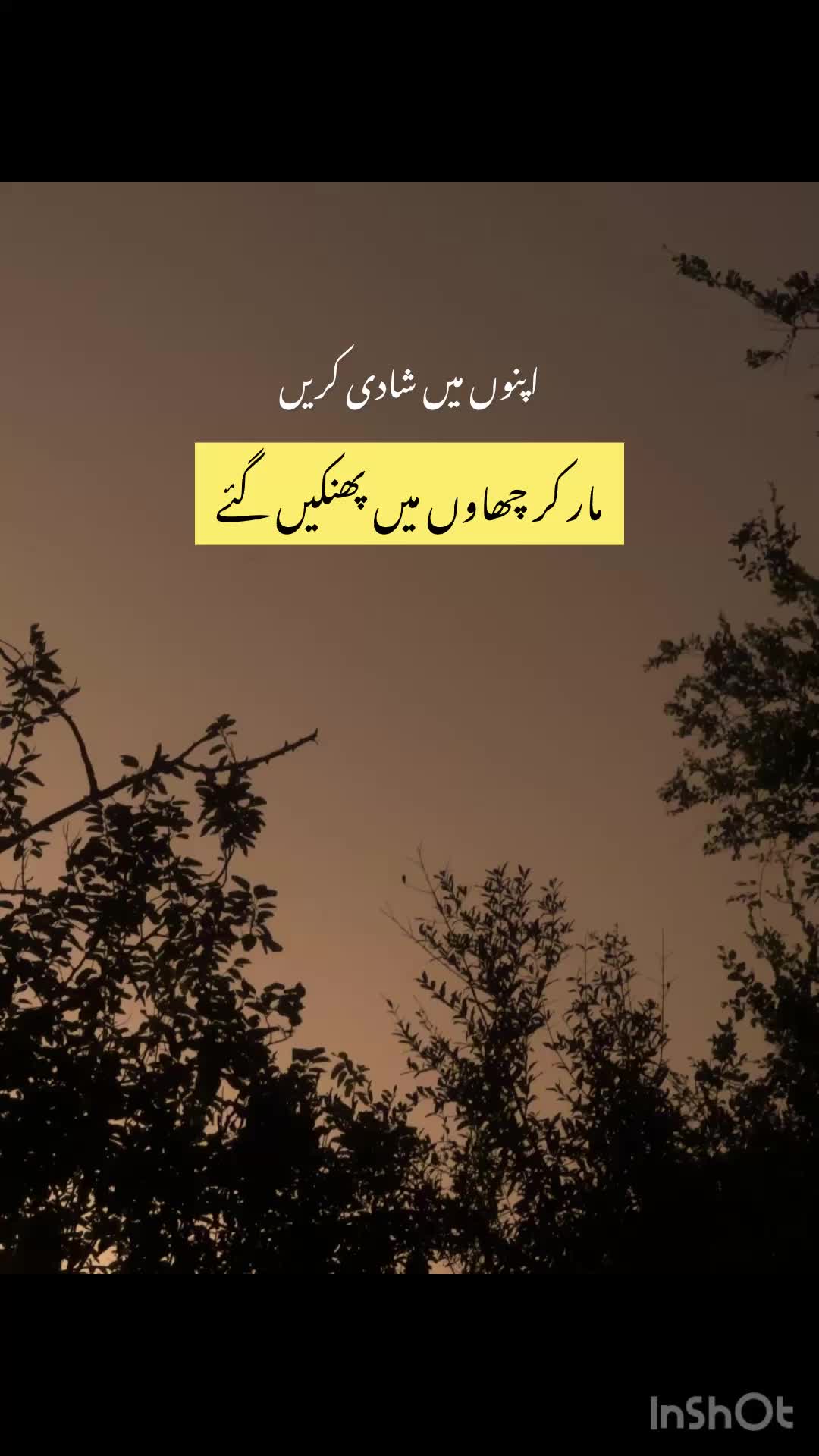 @بکھرے خواب🍂