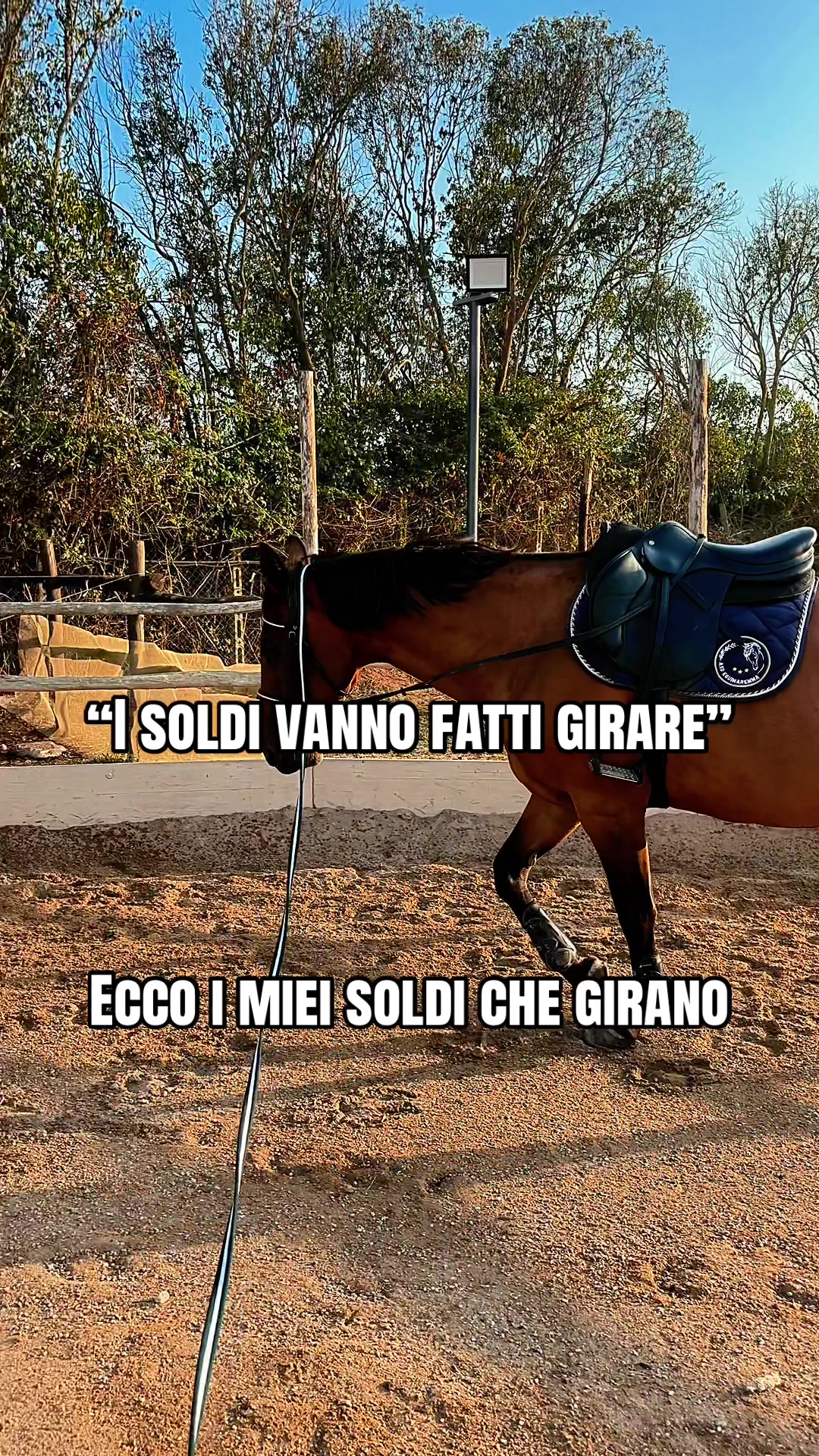 @Chiara Patanè
