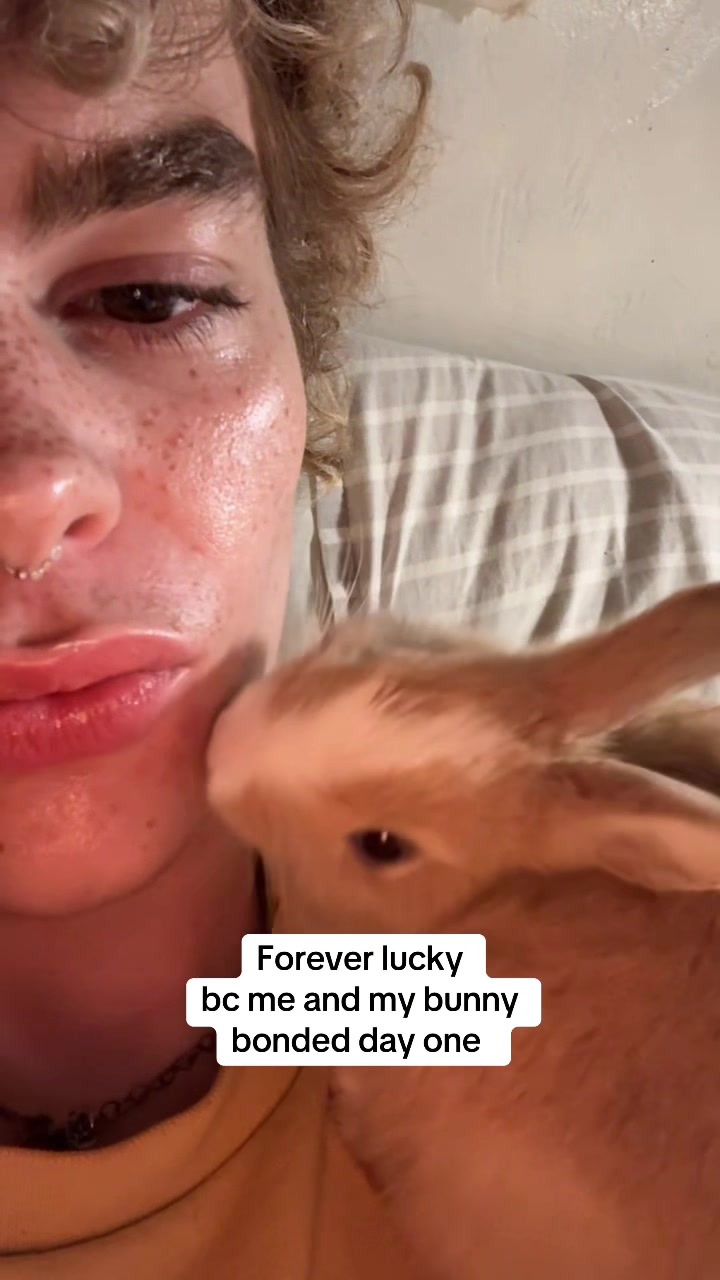 @_llewellyn04