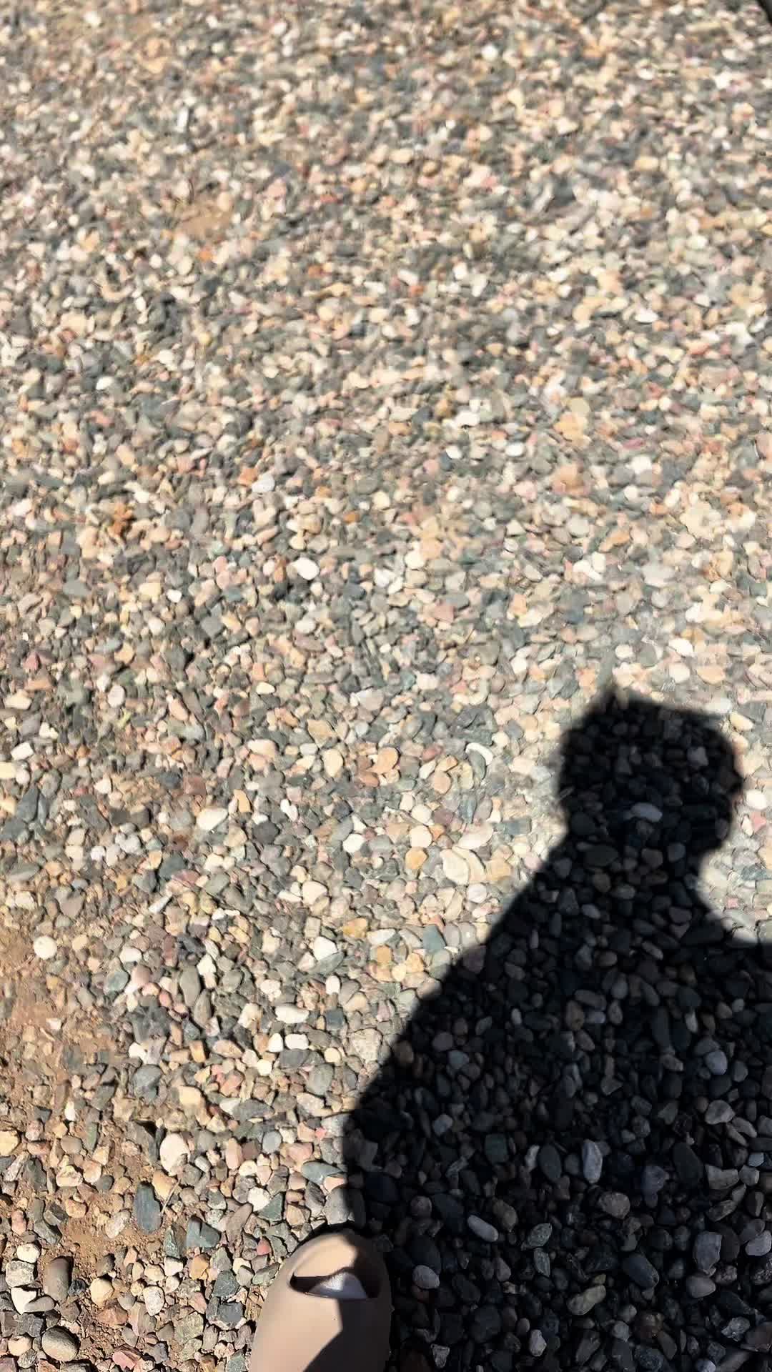 @73.elleis
