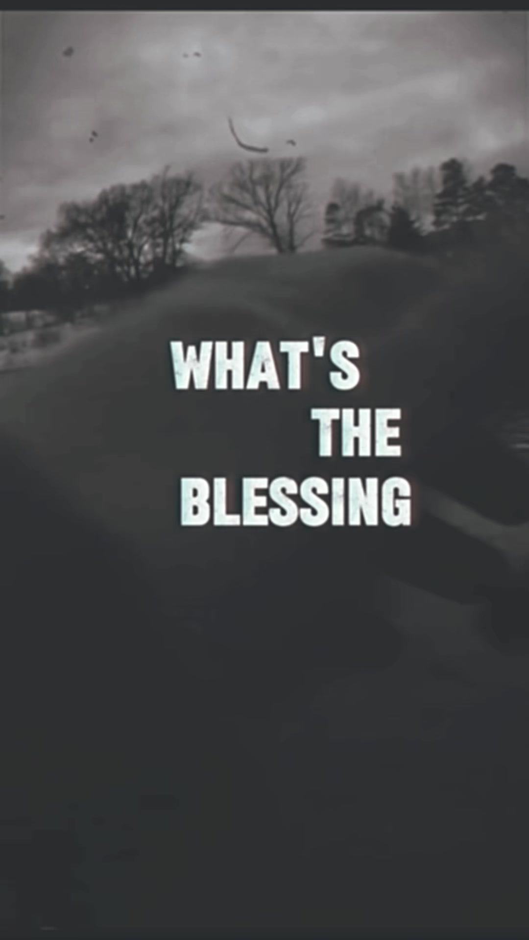 @MrWise