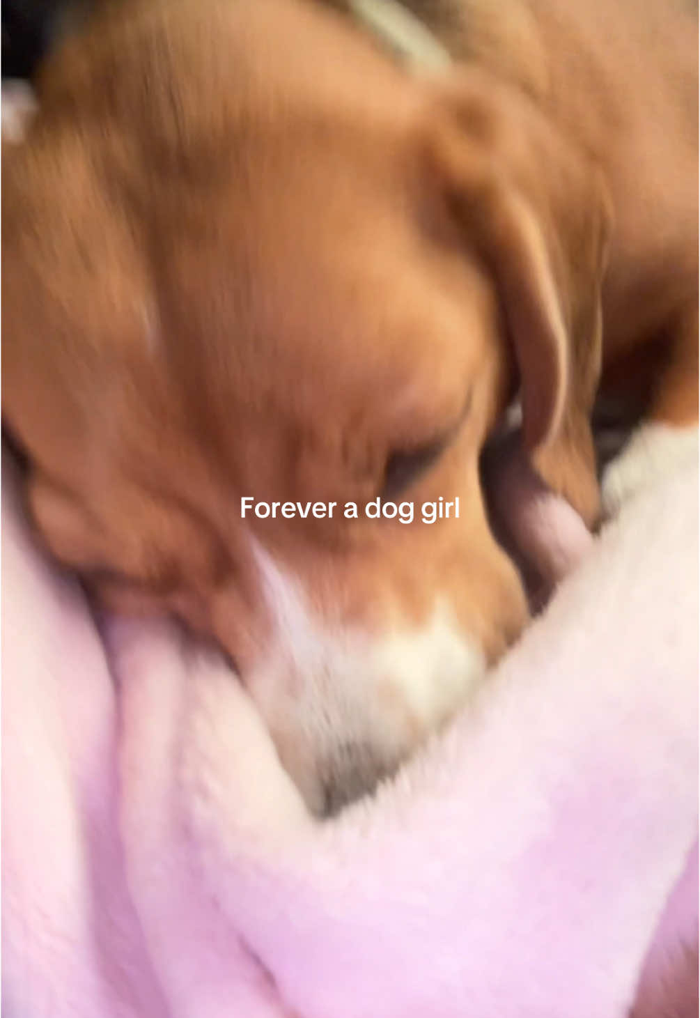 @𝙥𝙚𝙣𝙣𝙮𝙮