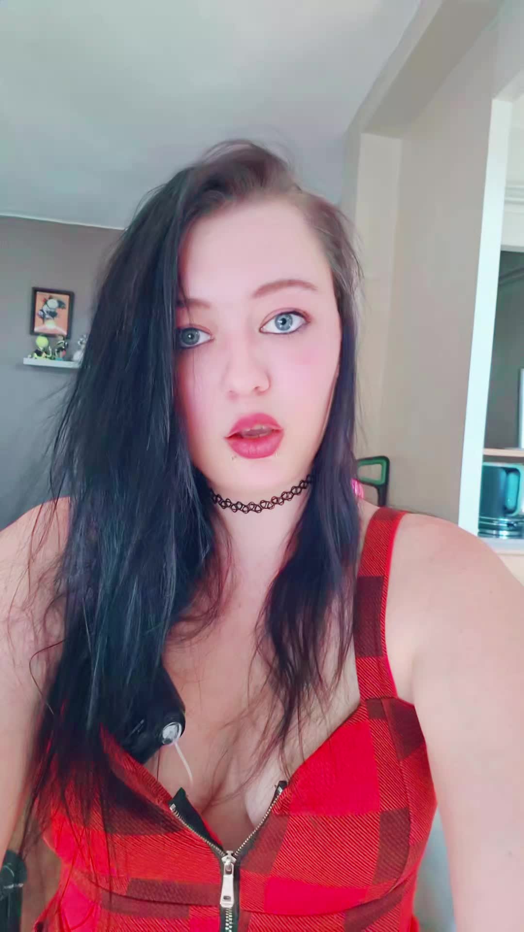@bvb_spam