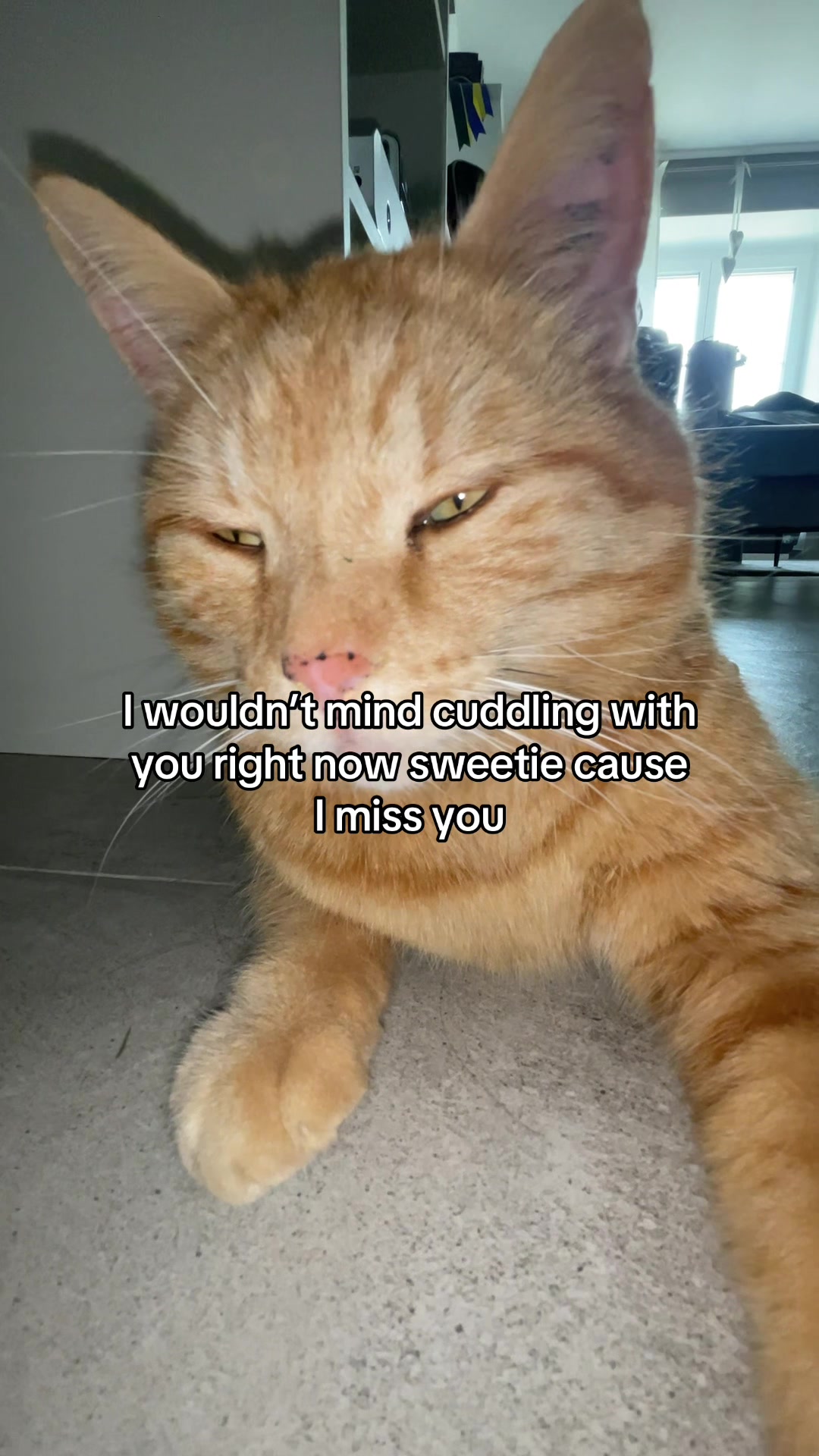@Simba