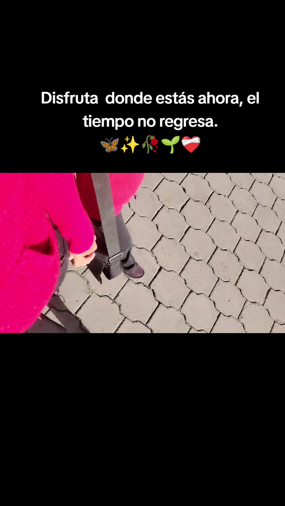 @Te fa