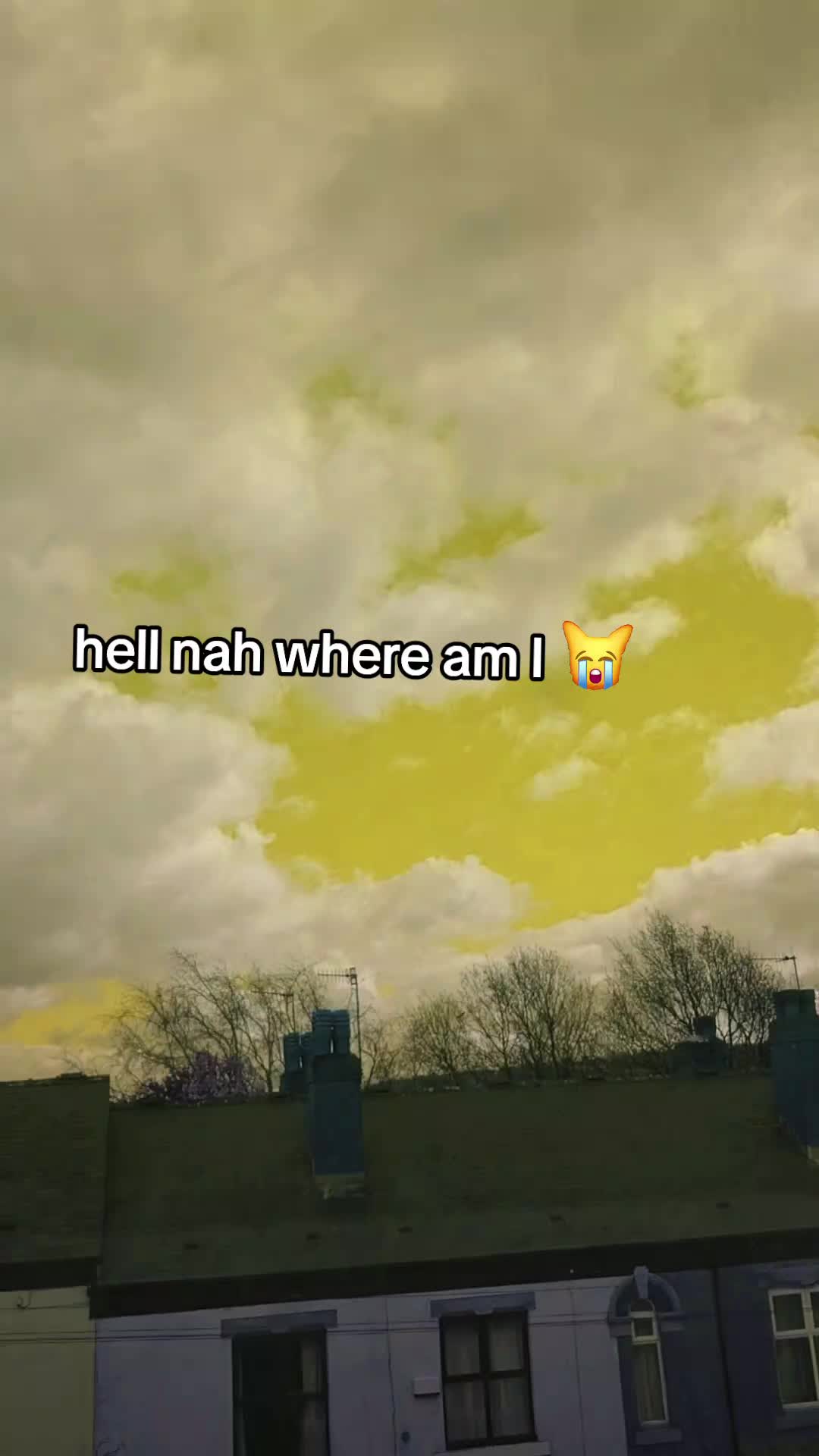 @Eve 🦇