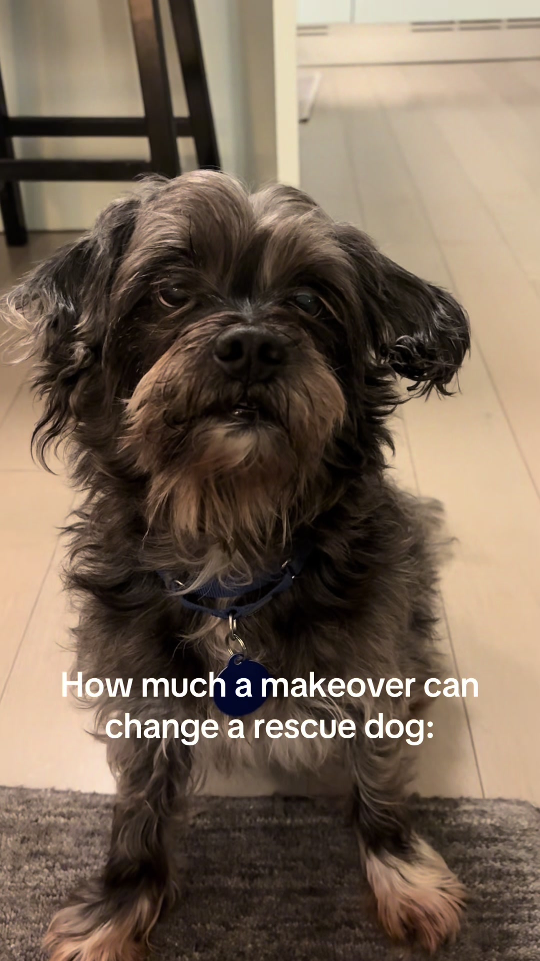 @gens_pups