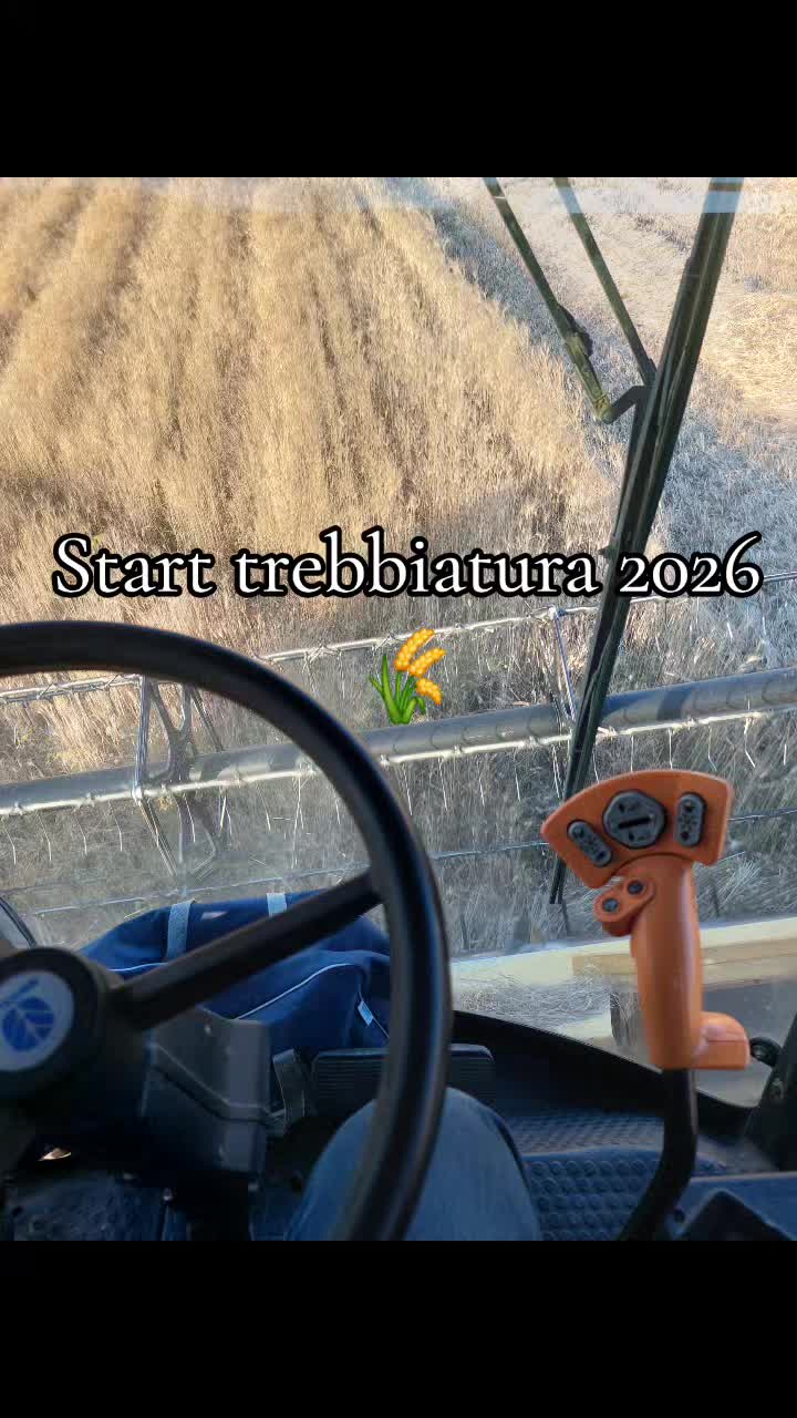 @laureato82