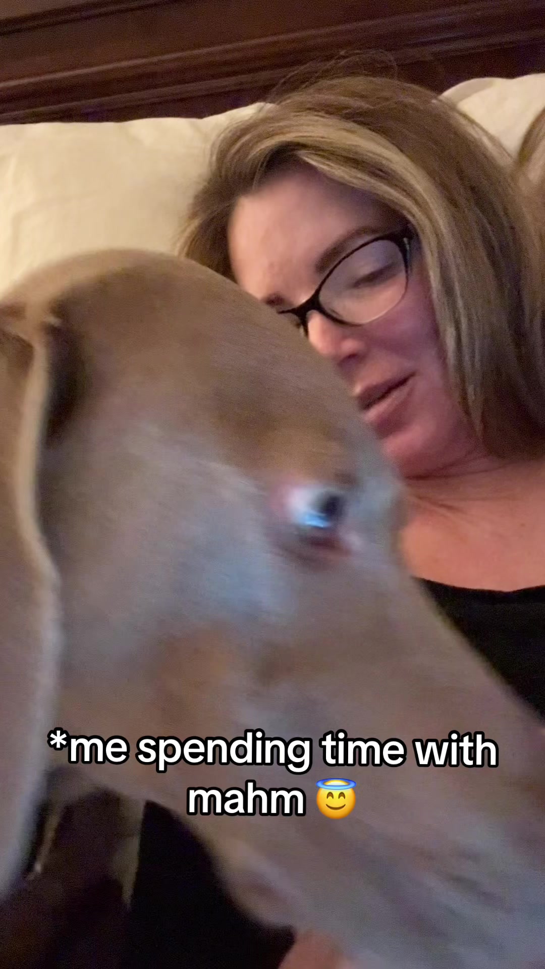 @Zoey the Weim