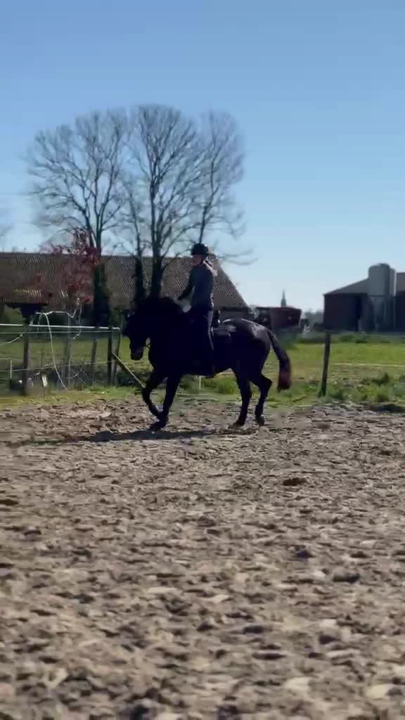 @(:
