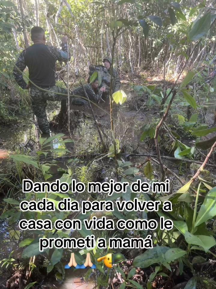 @ËËl militar ese21