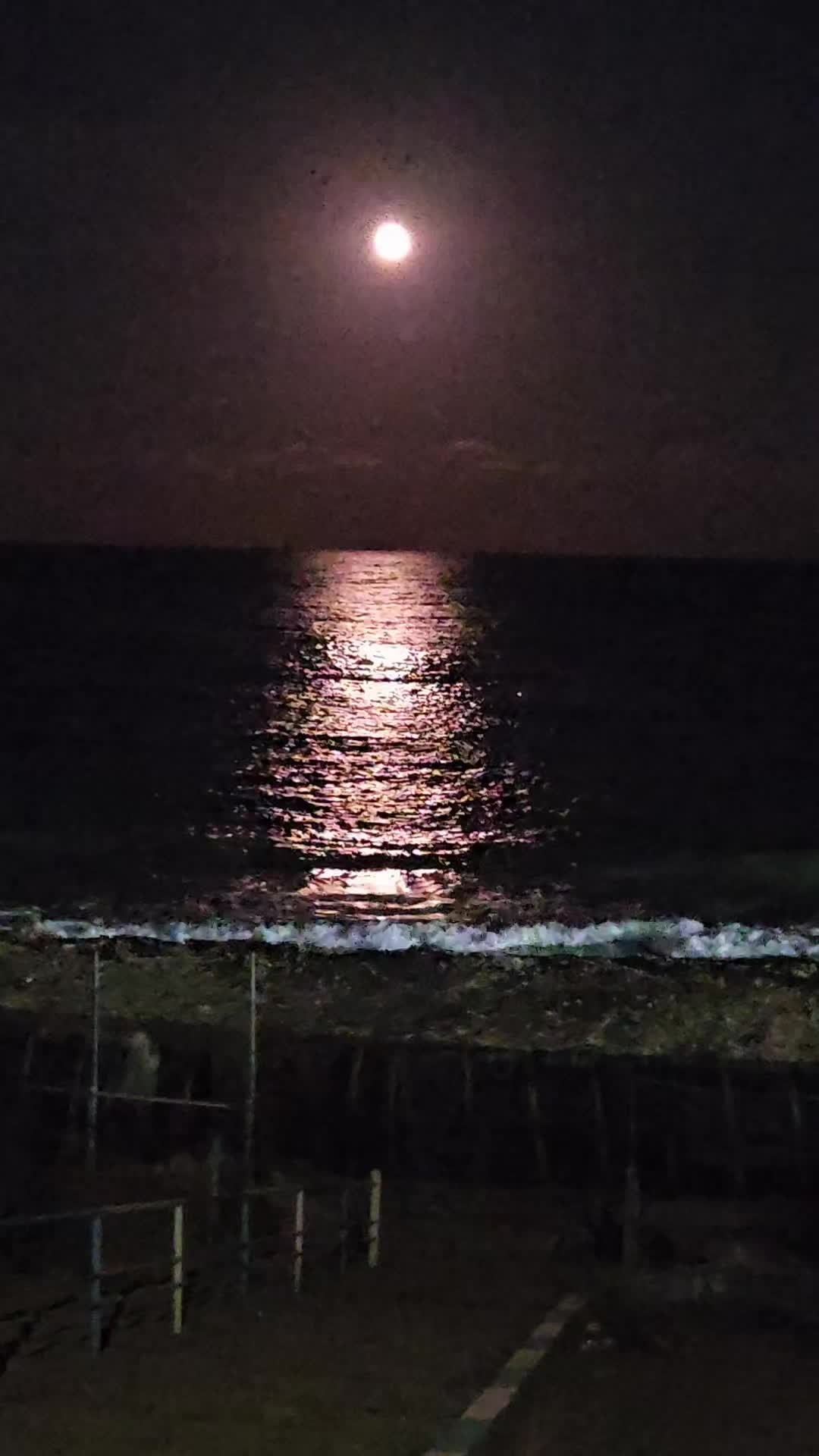 @Vila Consentino Costinești