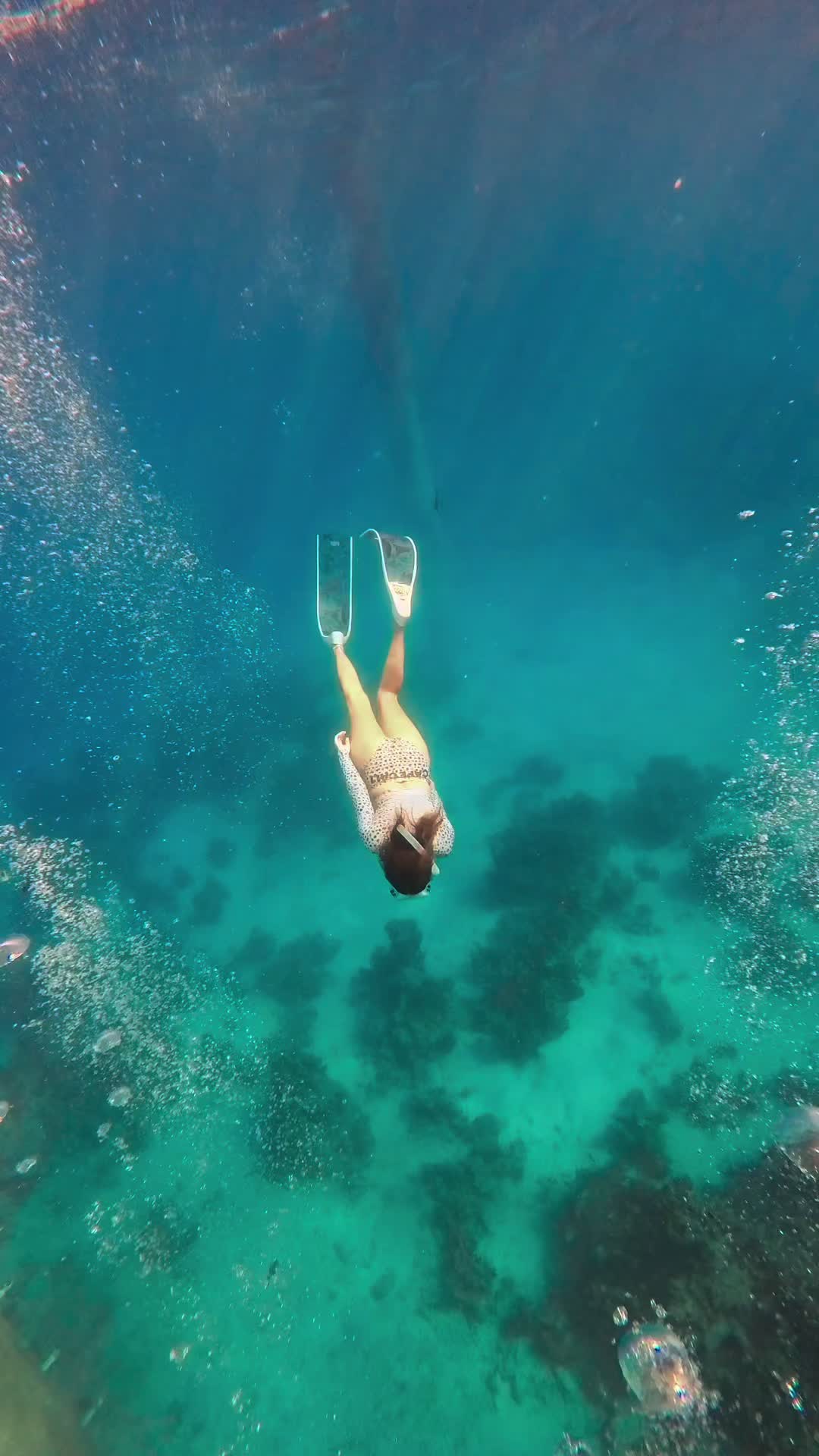 @thegreatchin