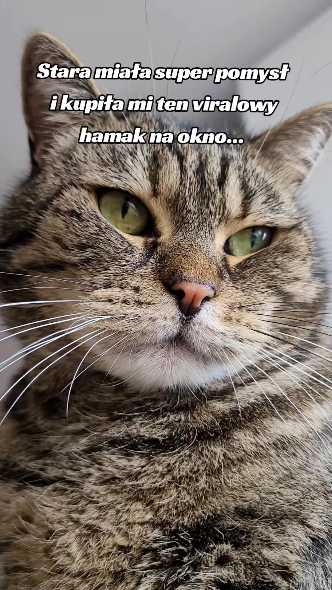 @😻Ekipa Świrka 😻