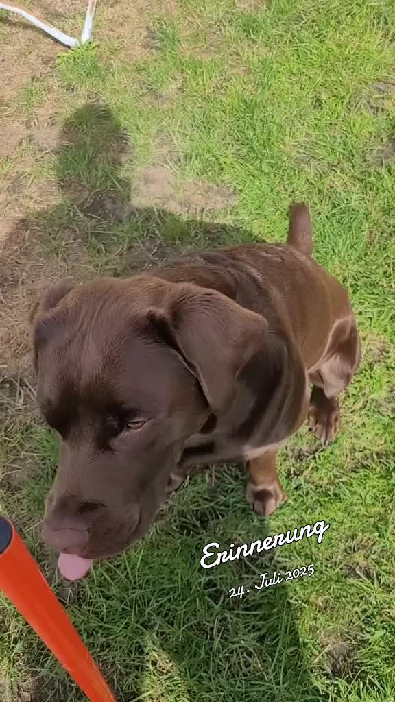 @Xandra mit X & Milo