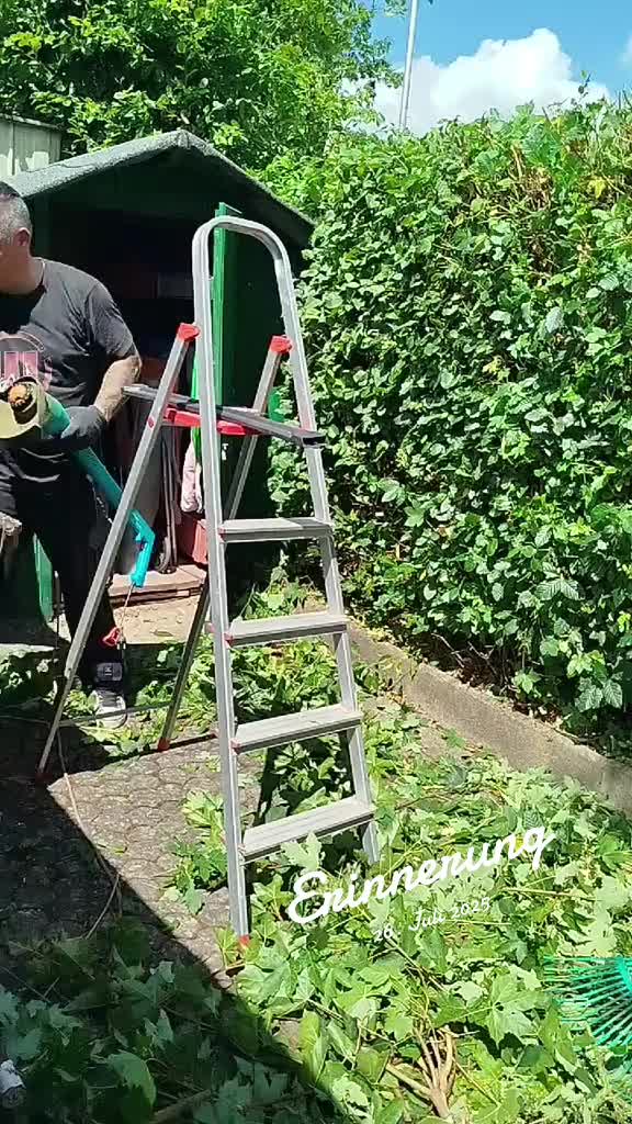 @WilliamsMum_official