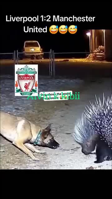 @kaka