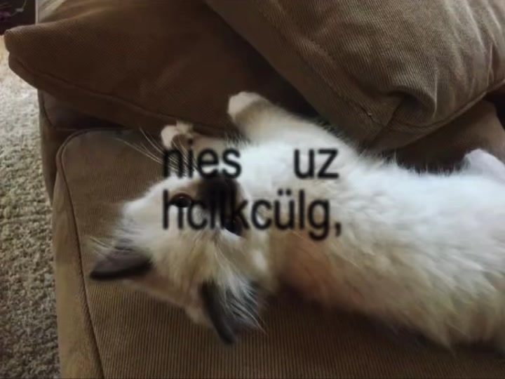 @๐ถ๐ง๐ต