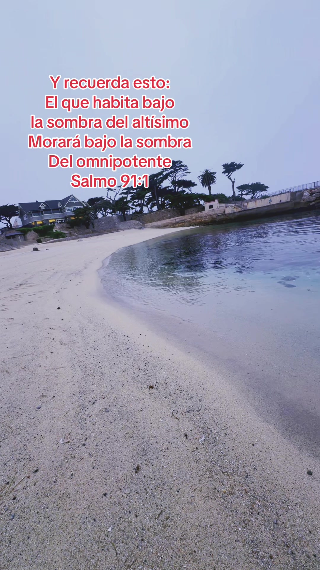 @patricia aguilar