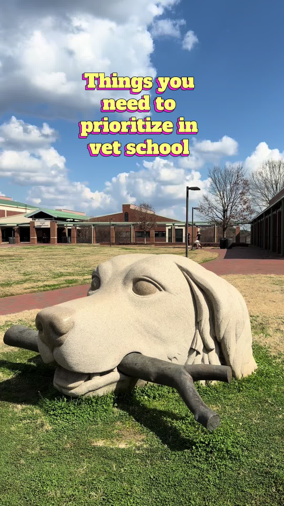 @heyamigainvetschool