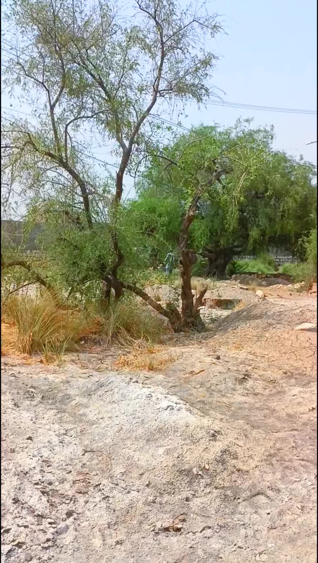 @آسماء سومرو