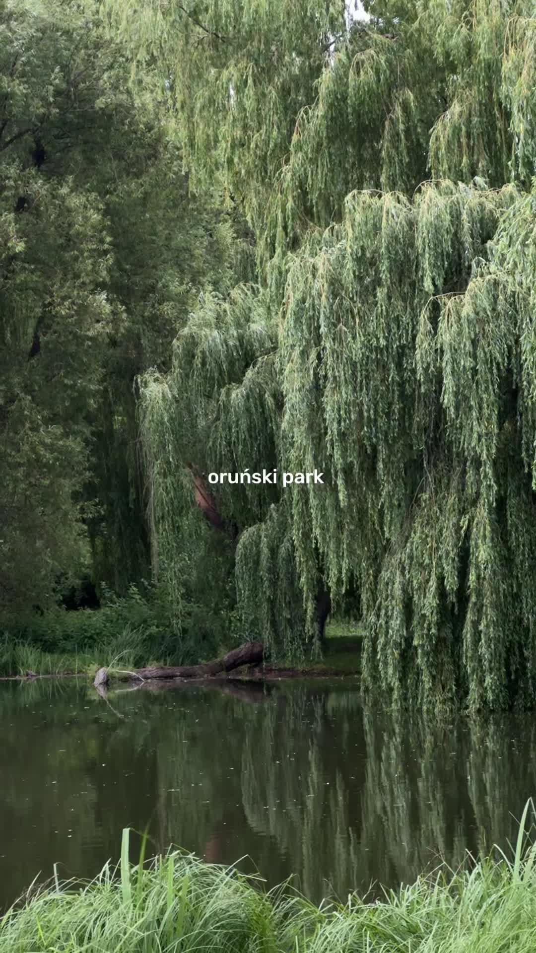 @Darya from Gdańsk