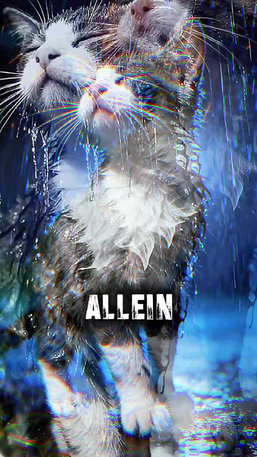 @A-n-d-r-e