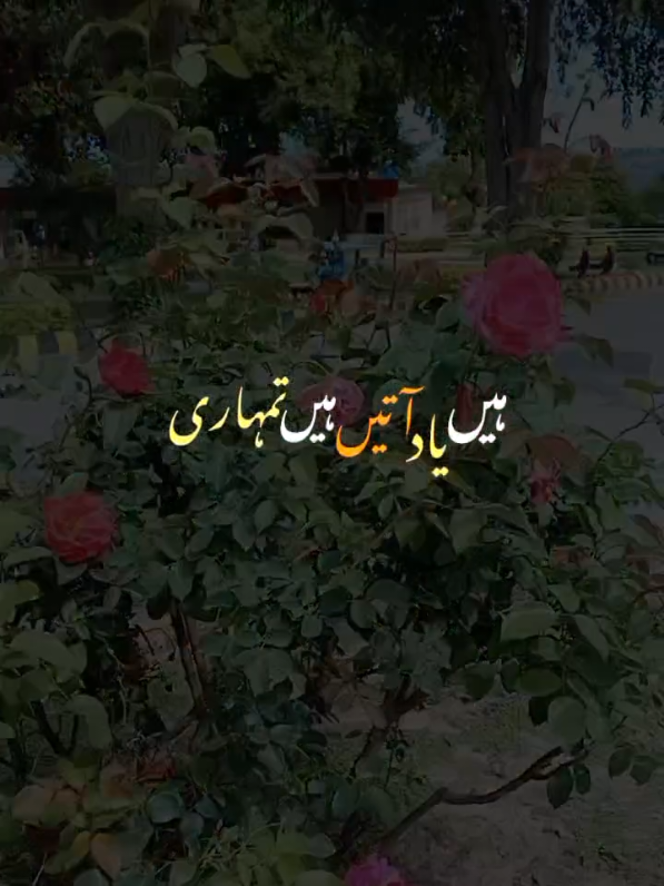 @Najah📈