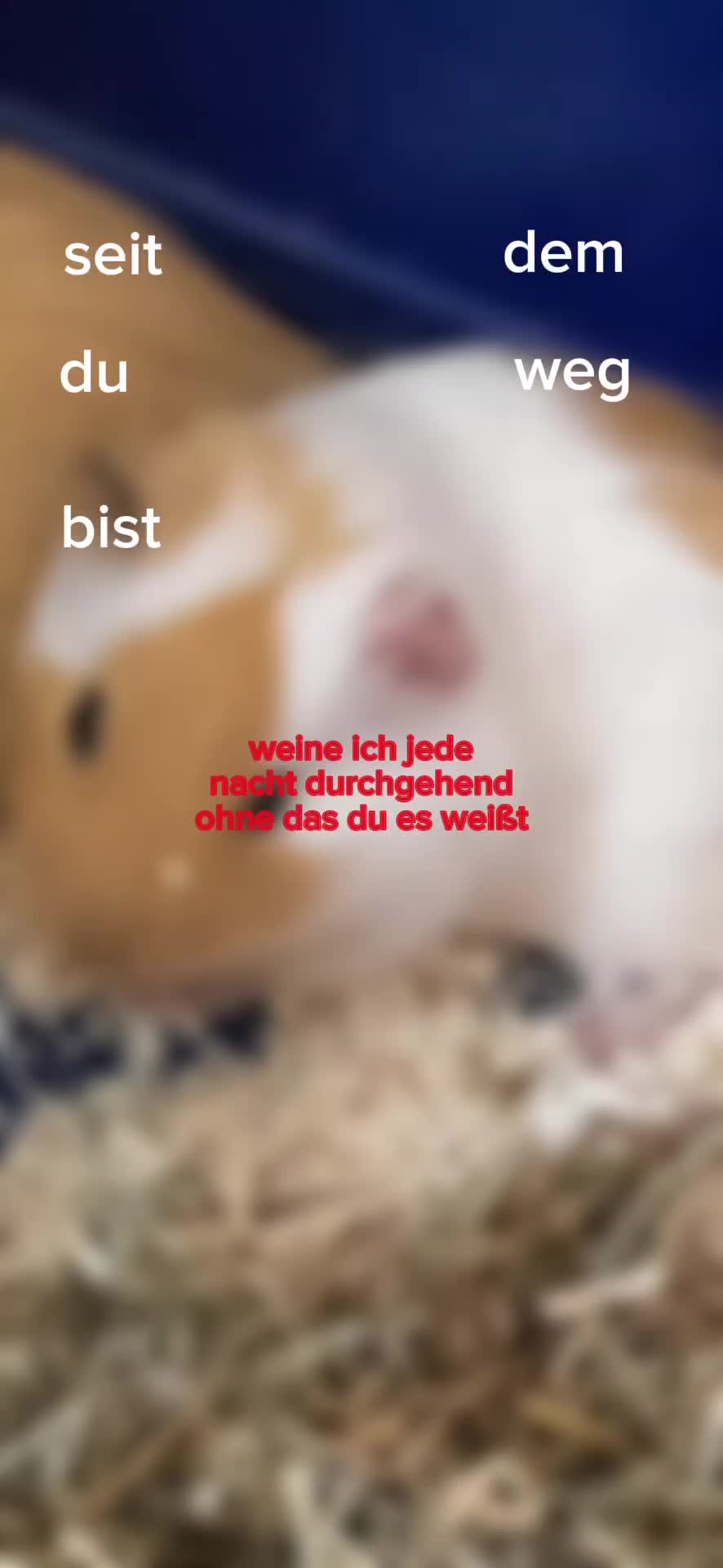 @Itzz_Judy๐ฅ๐ฟ๐ฐ๐บ๐ท