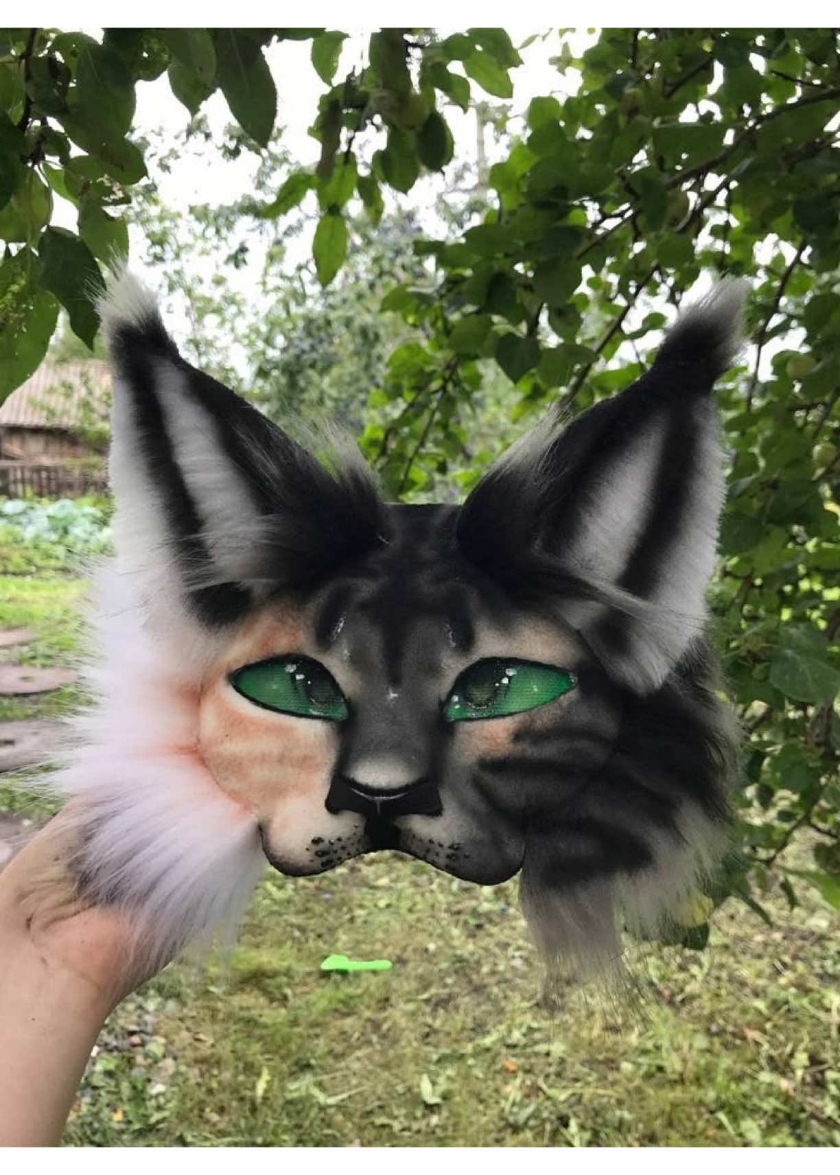 @Lio🦊