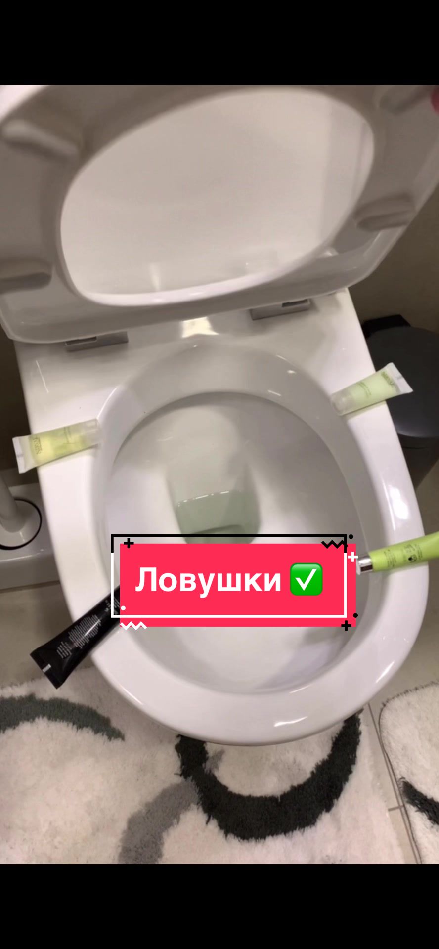 @Йорк Донни 🇺🇦