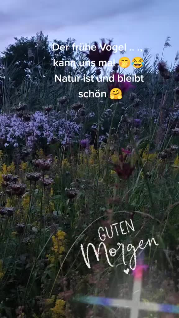 @Mönchen 🤗