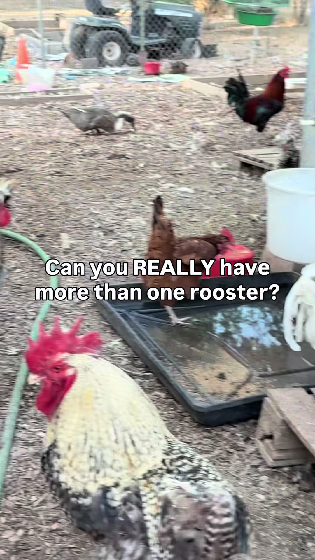 @The Real Estate Chick
