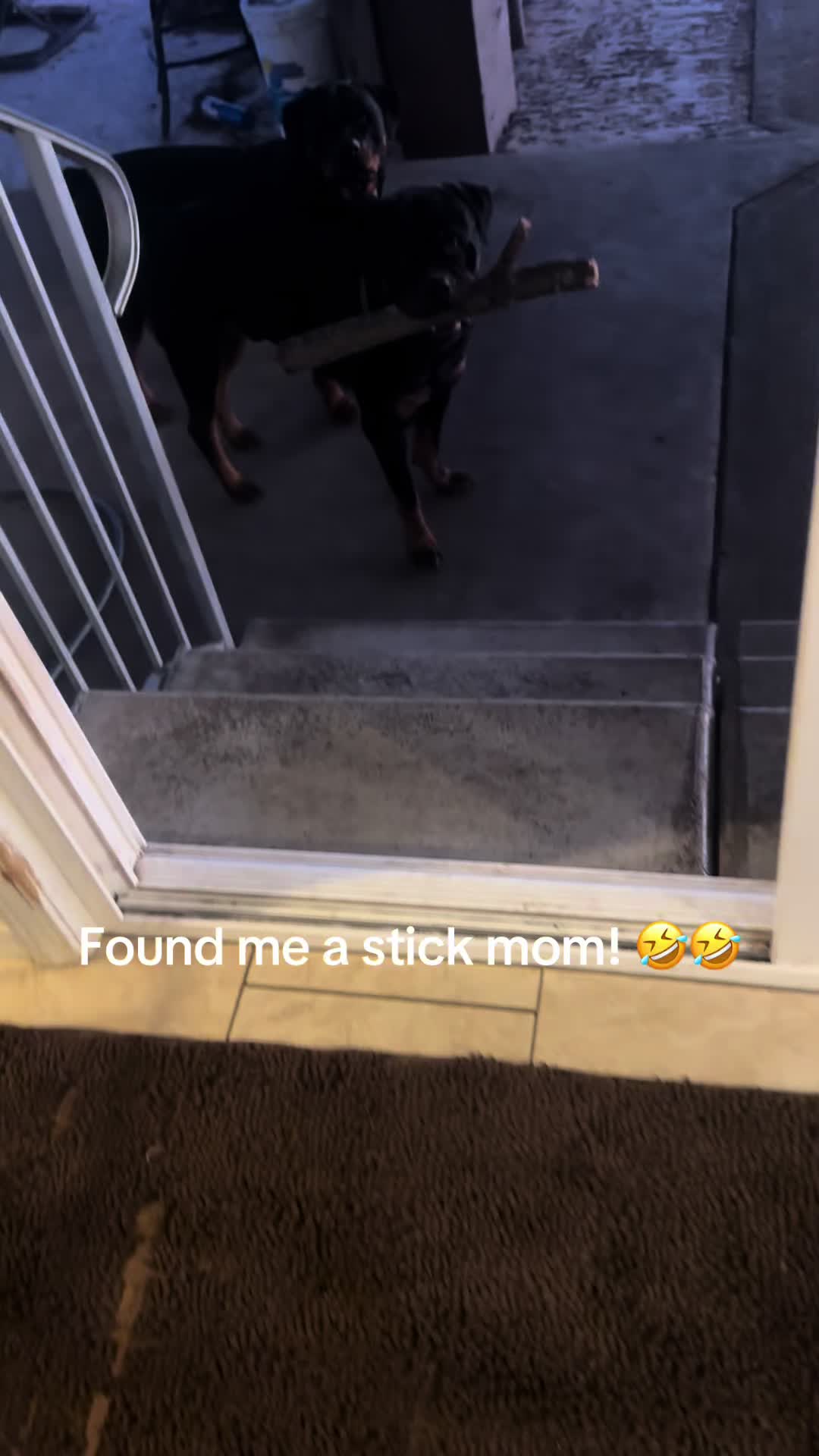 @Christi | RN Dog Lover TTS
