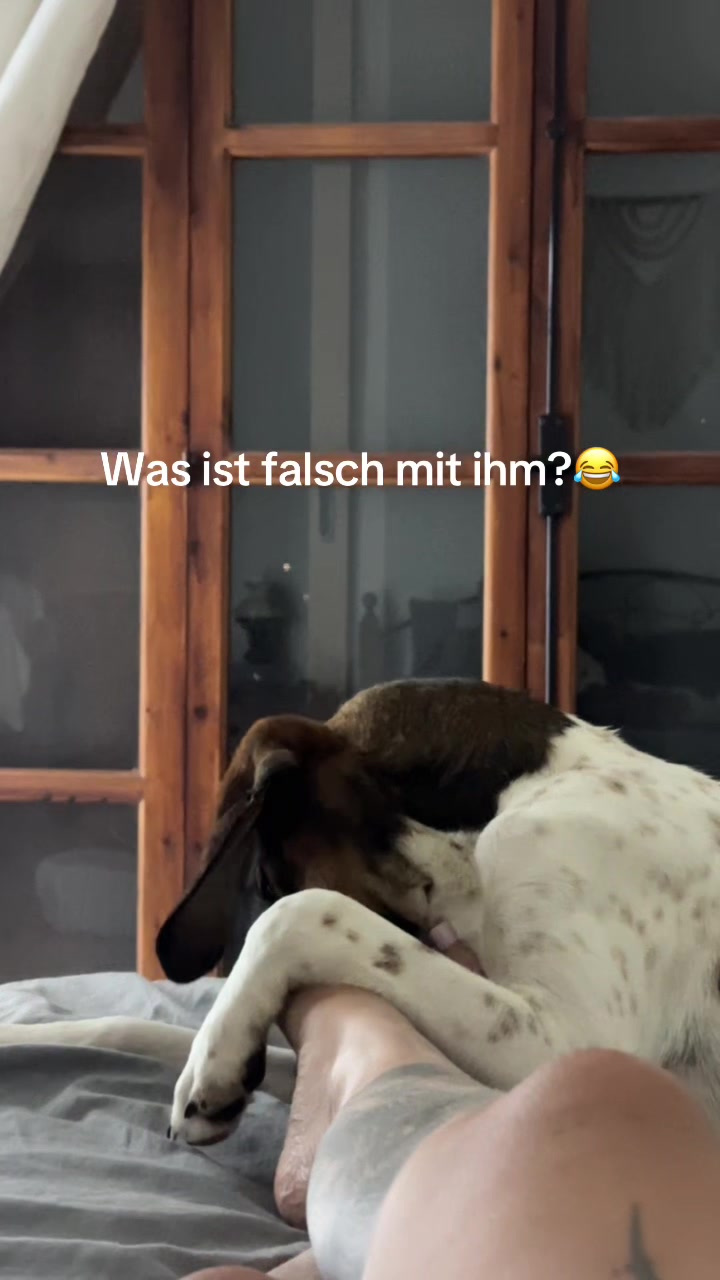 @henriettexo